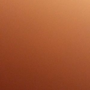 Meet your Posher, Aimee